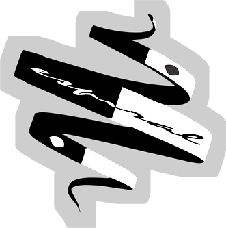 Logo Espiral_30ago22 - estilizado.png