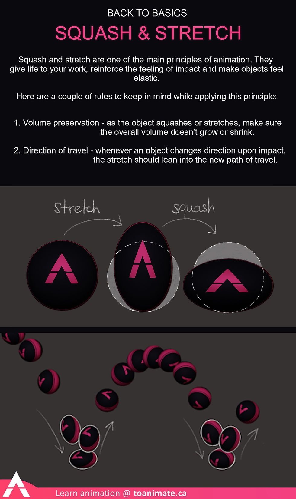 Beginner section of TOAnimate Blender Animation Course, teaching the 12 principles of animation through basic excercises.
