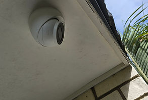 20250404_090445.jpg