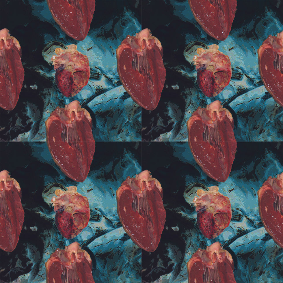 SFIN330.AndyWebster.Pattern4