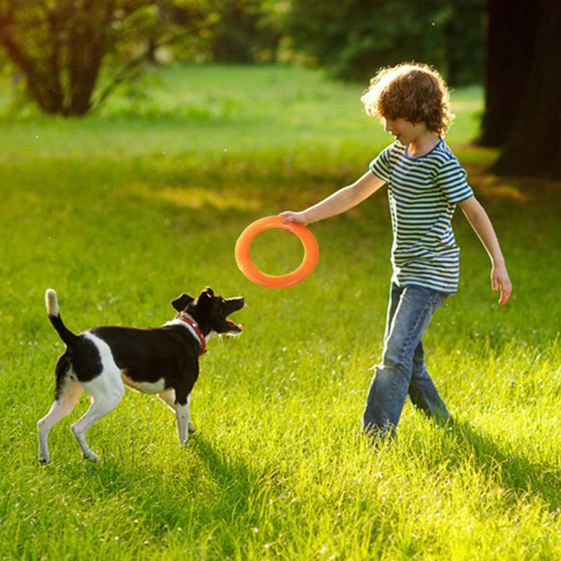 Miniatura: Anillo de goma para perros.