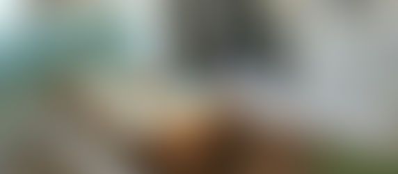 Praia de Palmas 297: Apartamento térreo com churrasqueira e área externa!