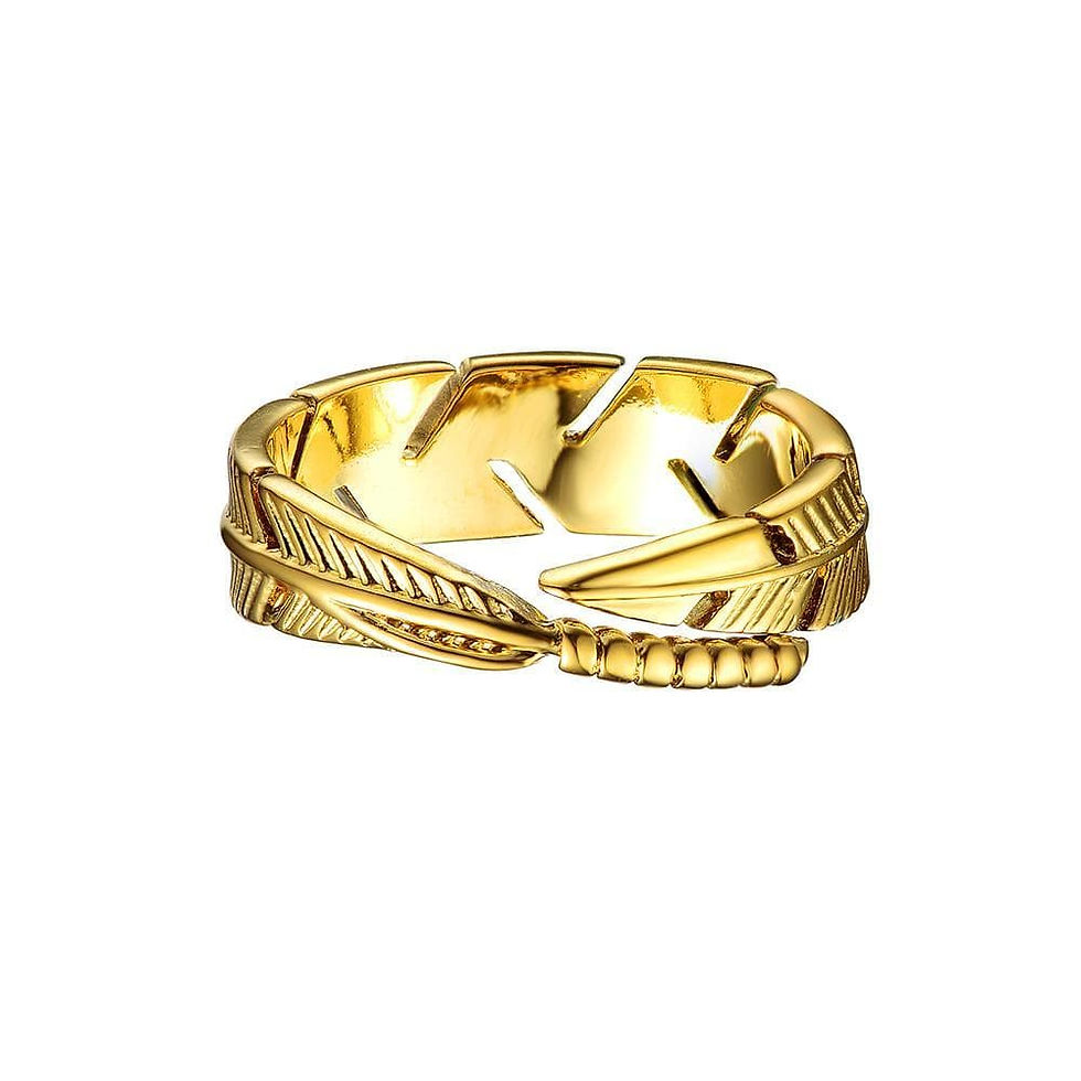 Miniatura: Anillo Señor Pluma