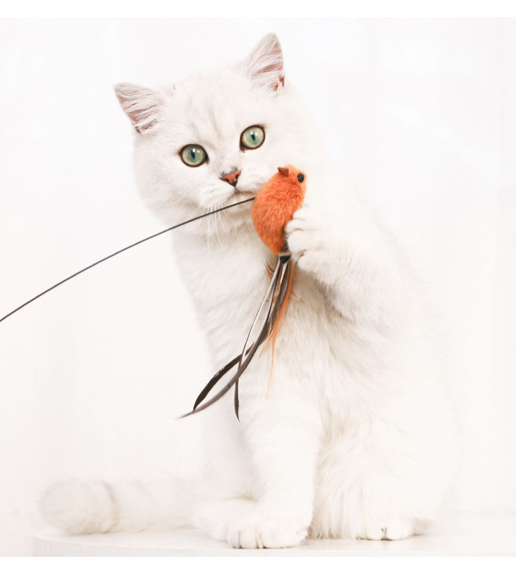 Miniatura: Juguete interactivo para gatos y pájaros