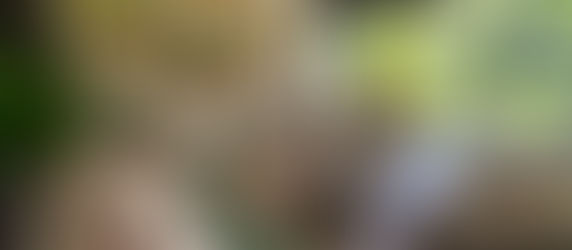 ¡Lujosa Casa con 4 Suites, 5 Baños y Parrilla a Solo 20 Metros del Mar en Praia Brava!