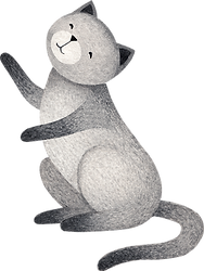 Drawing of Cat