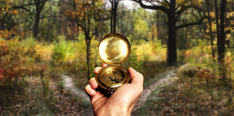 Navigating in Woods_edited_edited_edited_edited.jpg