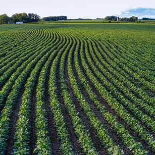 EPA Draft Guidance for Reducing Risk from PFOA and PFOS in Biosolids (2026)