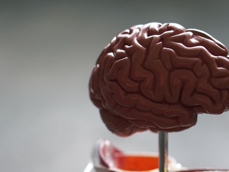 What Happens in the Brain With Bipolar Disorder?