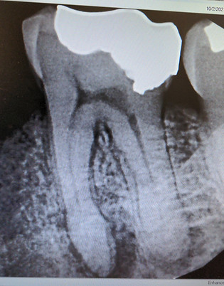 IMG-20211015-WA0007.jpeg