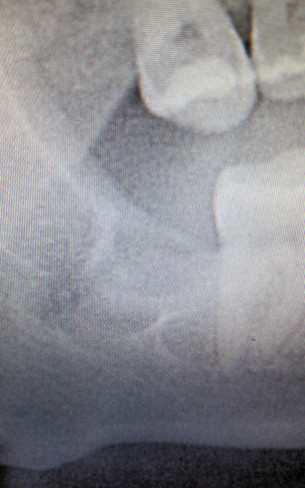 IMG-20211013-WA0006.jpeg
