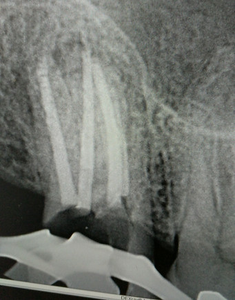 IMG-20201116-WA0006.jpg