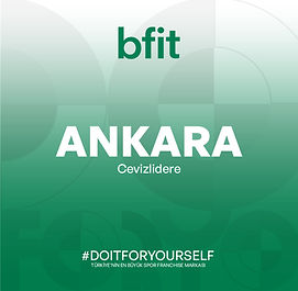 Ankara Cevizlidere - 06008