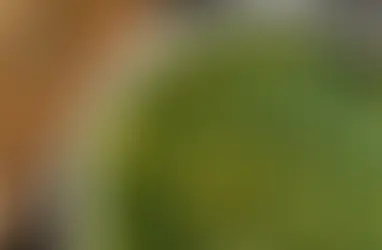 Ispanaktan browni olmaz demeyin, mutlaka deneyin!