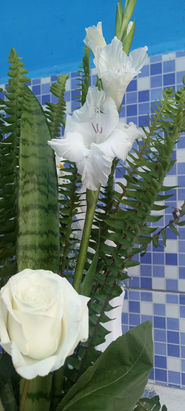 CC_Caboclo da Lua_043.jpg