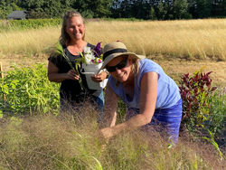 01F1F622-0285-4580-994C-286E55343D75