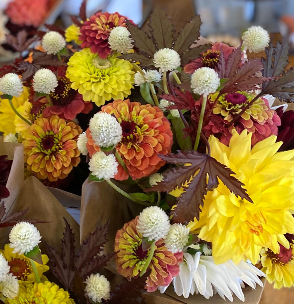 16 Week Flower CSA 2024