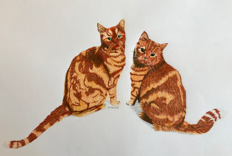 Millie & George | Rescues | 2019