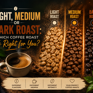 Light, medium and dark roast coffee beans compared by roast level and flavour profile