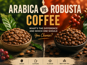 Arabica vs Robusta coffee beans comparison showing differences between the two coffee types