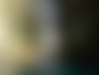 Chapada dos Veadeiros (GO)