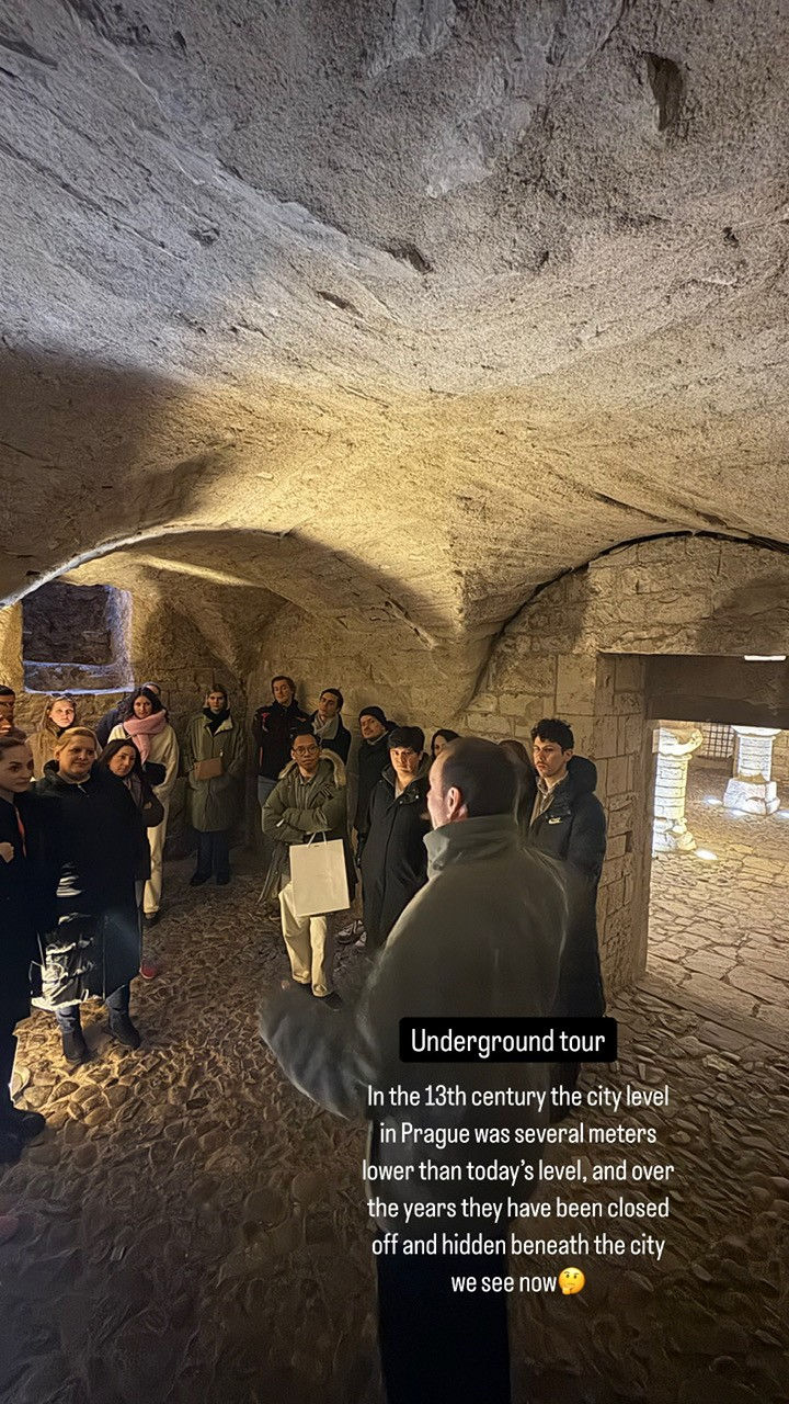 Oranized sightseeing trips!