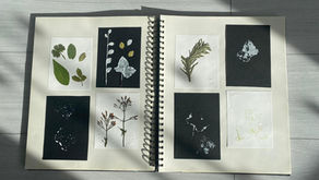 Bringing the Outdoors In: Exploring Nature's Influence on Art 