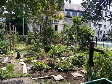 Capture d’écran 2025-08-27 à 14.11.20.png