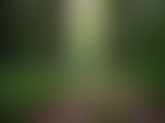 Authentic Leadership: The Key to Success