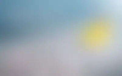 Mastering Leadership with 10 Essential Skills for CXOs Through Coaching