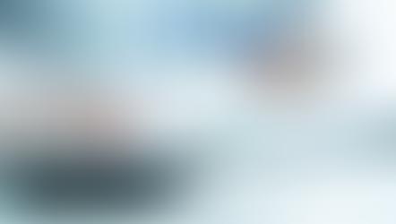 ESR – Investment Fund Management Business