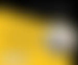 Coaching Competencies – A must-have for HR Leaders