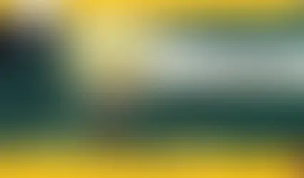 The New Dimension of Leadership Coaching