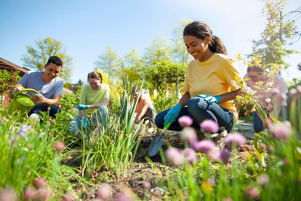 Eye-level view of a vibrant community garden with diverse plants