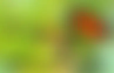 Good to Great – The Journey of an Agile Coach