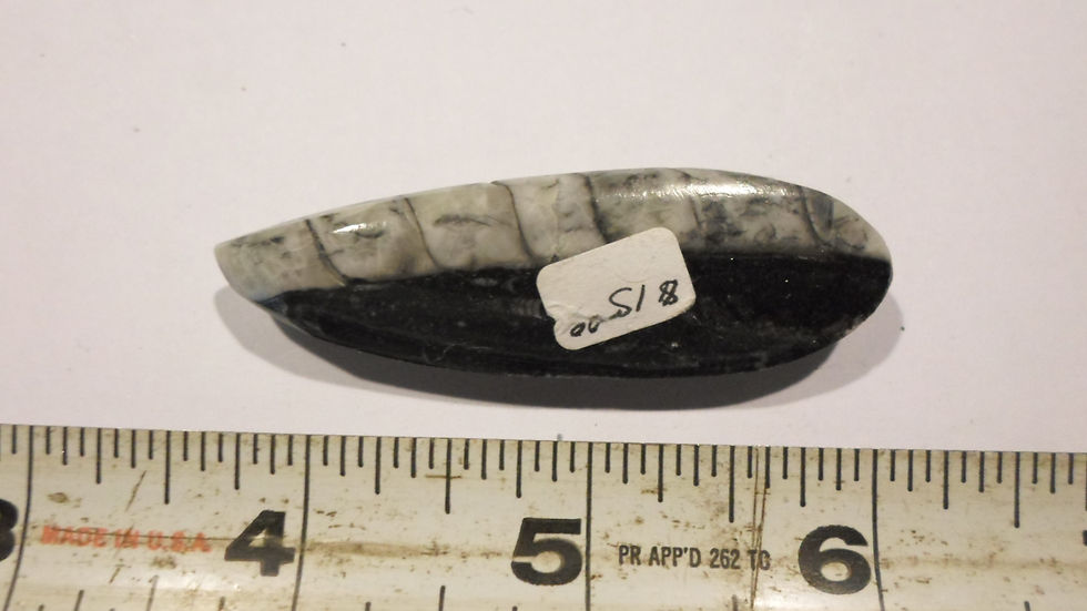 Thumbnail: Orthoceras Healing Crystals Healing Stones