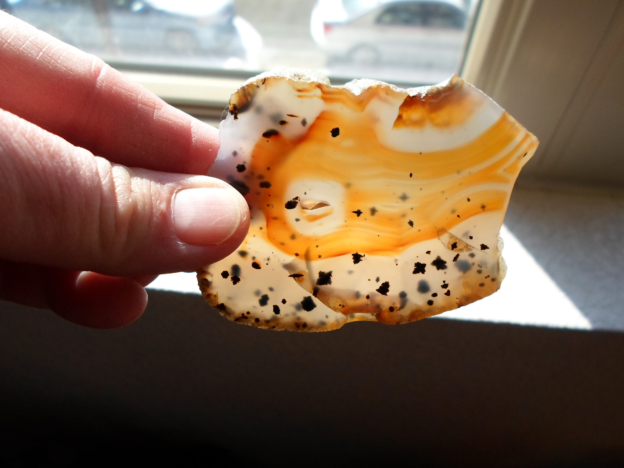 Dendritic Agate Healing Crystals Healing Stones