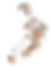 8.png