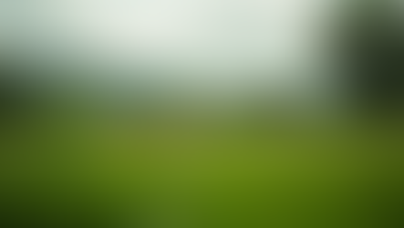 Exploring Sustainable Practices on Welsh Smallholdings