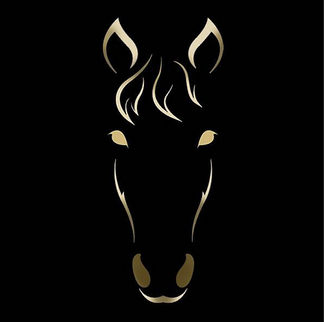 UCCS horse logo.PNG