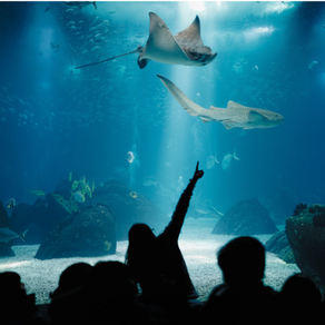 Creative Ways to Keep Learning Fun During School Holidays