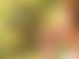 How Can Extended Family Members Contribute to the Alienation Process?