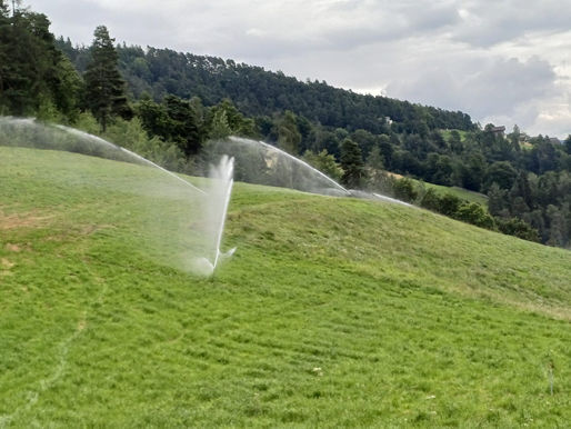 Irrigazione dei prati con telecontrollo