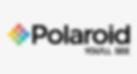 Polaroid Polarized Sunglasses