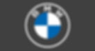 BMW Sunglasses