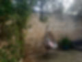20231018_071818.jpg
