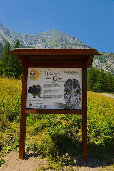 sentiero dei gufi - venaus (19).jpg