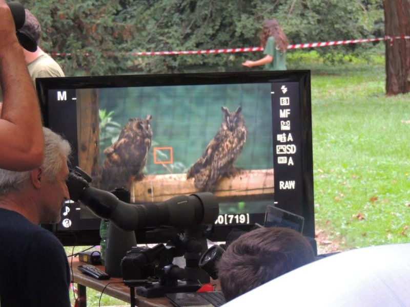 digiscoping