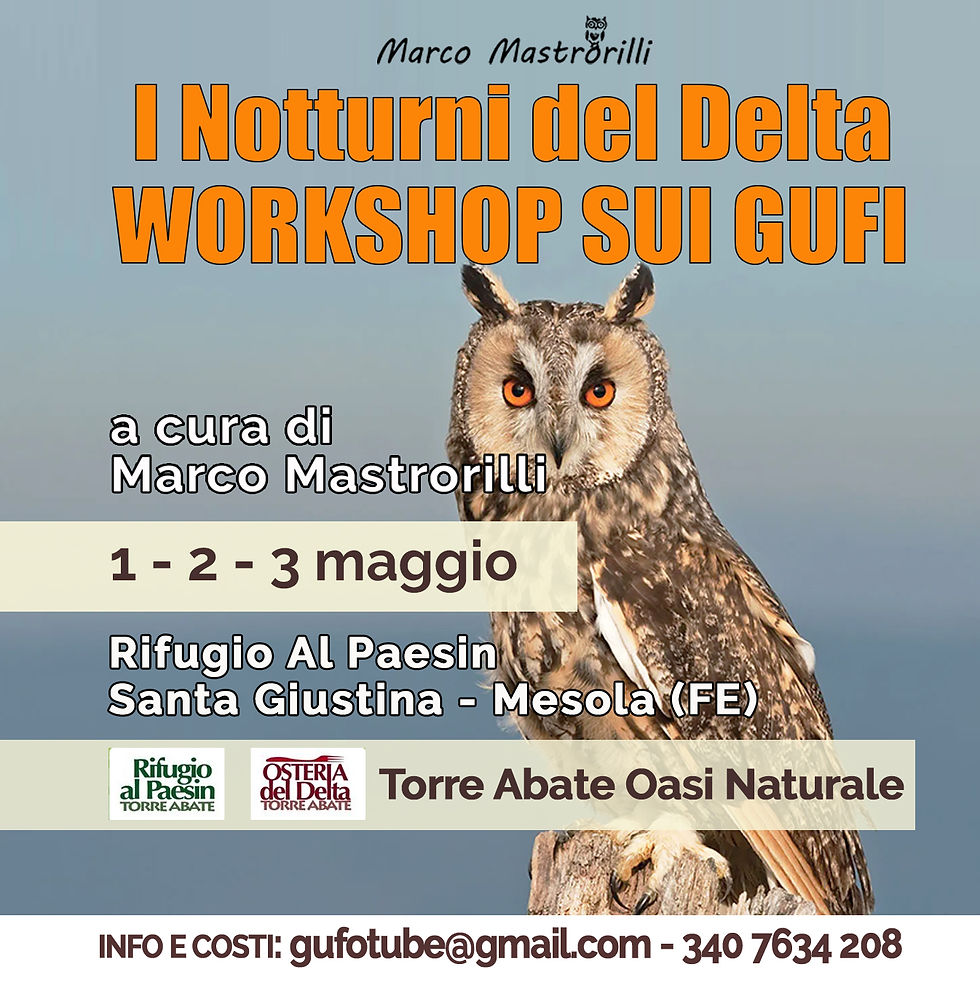 I Notturni del Delta - Workshop sui rapaci notturni