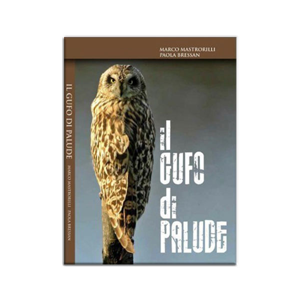 Il gufo di palude di Marco Mastrorilli e Paola Bressan